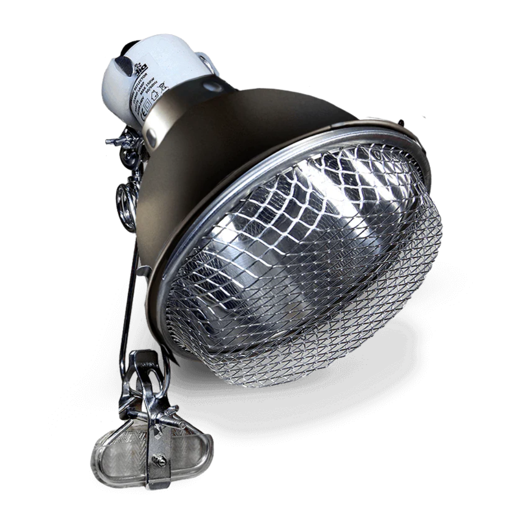 Arcadia Ceramic Reflector Clamp Lamp, Graphite - Scholarly Exotics LLC