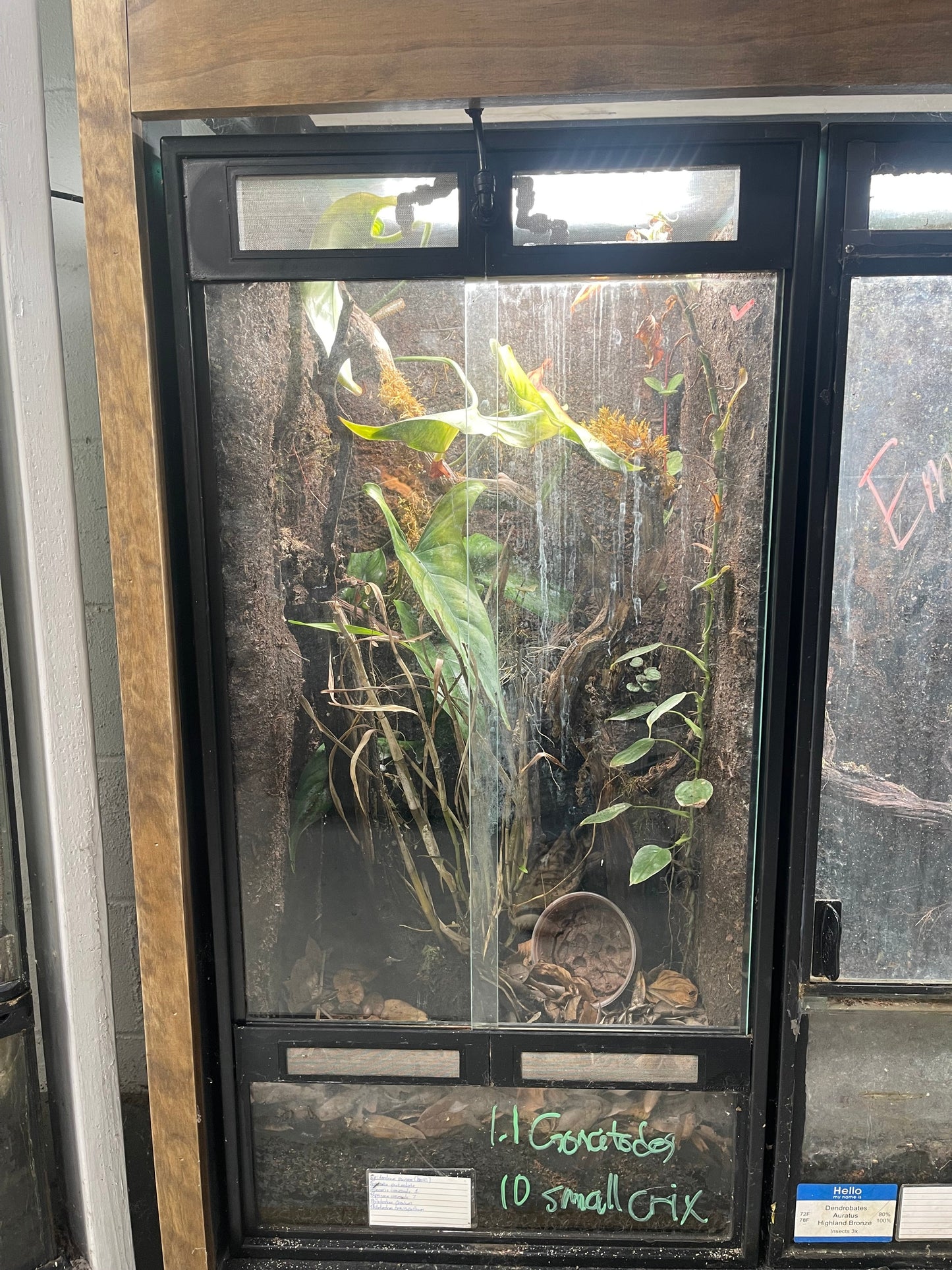 Aqueon Aquarium Conversion Kit