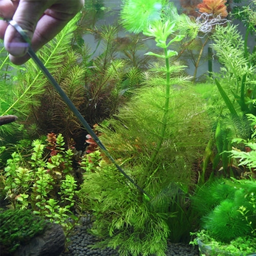 3 in 1 Stainless Steel Aquascaping Tool Set