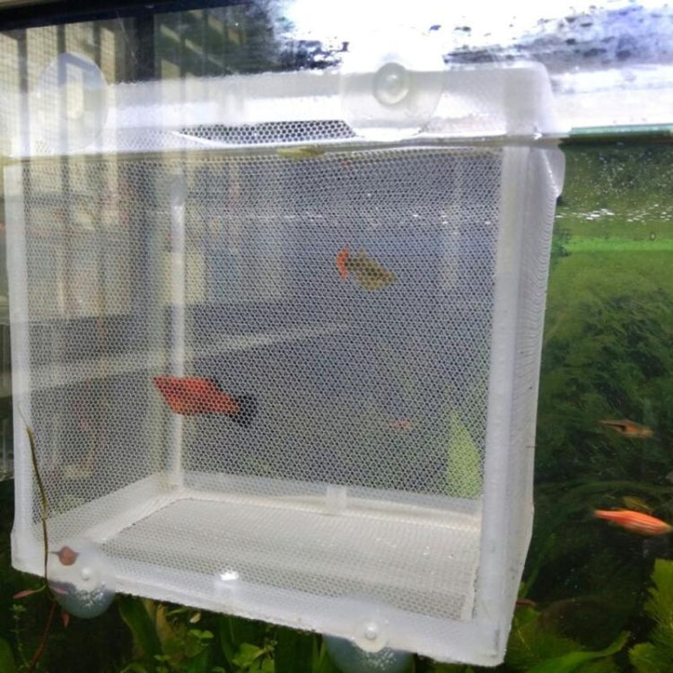 Fine Mesh Aquarium Breeder Box | Small
