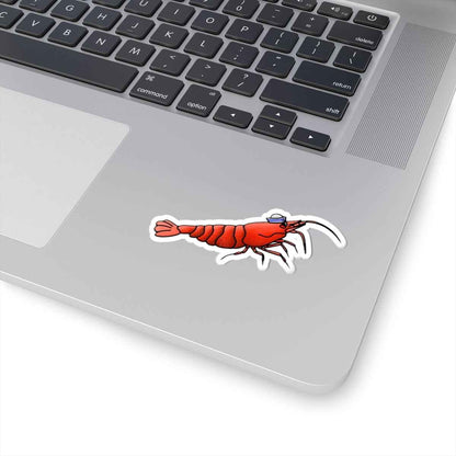Scholarly Exotics Ralph the Cherry Shrimp Sticker