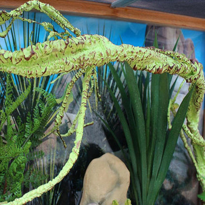 Bendable Artificial Mossy Jungle Vine Decor