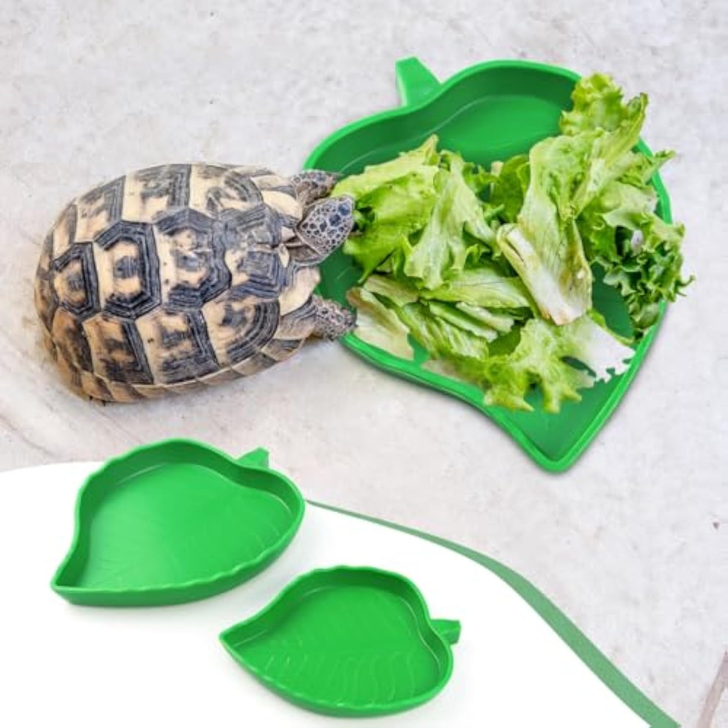 Naturalistic Leaf Reptile Food & Water Dishes