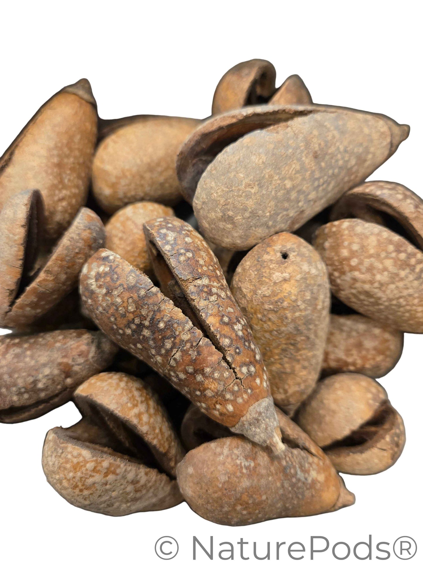 Whole Pear Pods