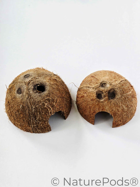 Coconut Caves