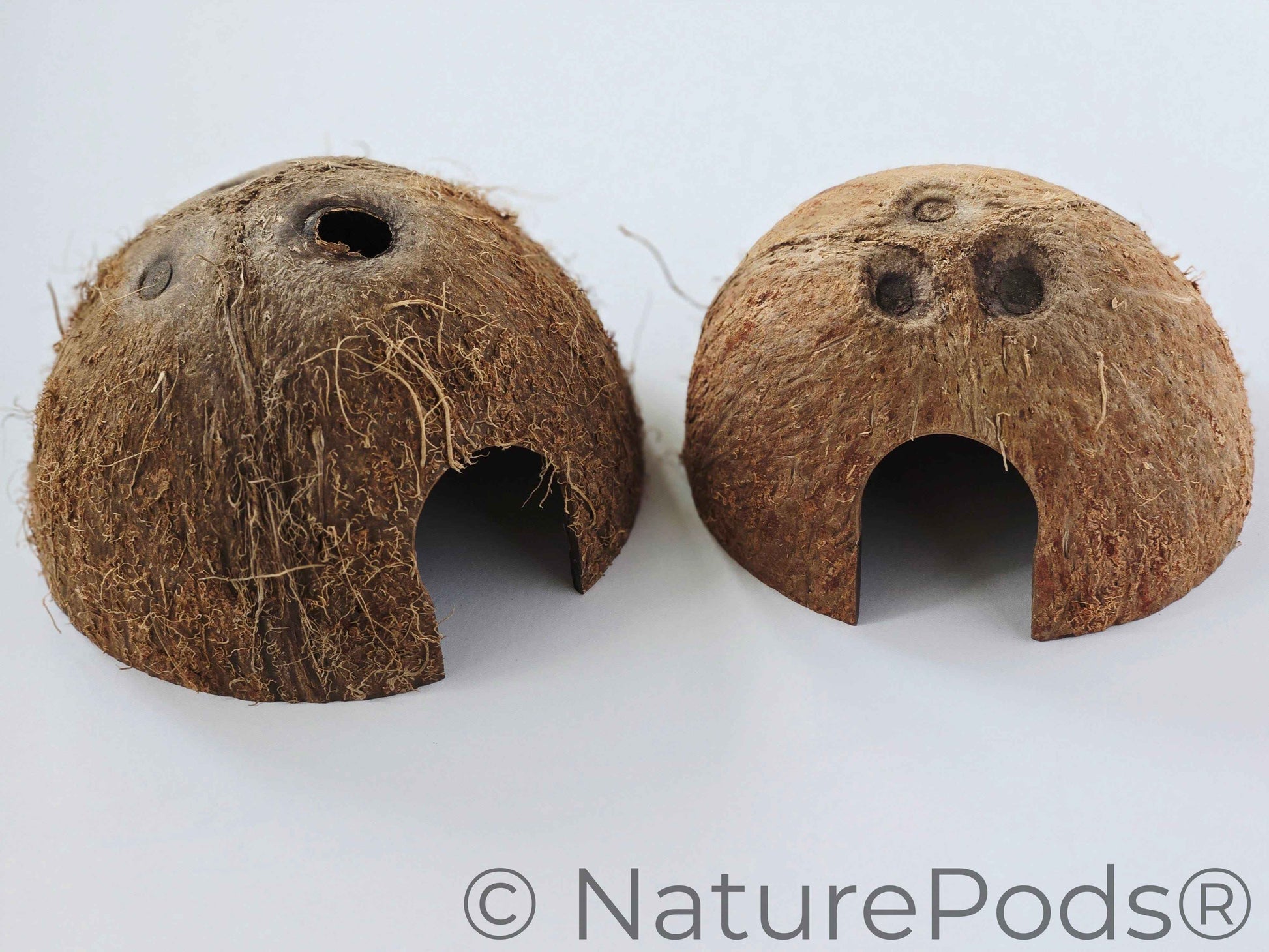 Coconut Caves