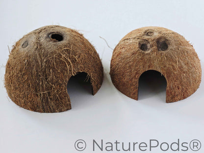 Coconut Caves