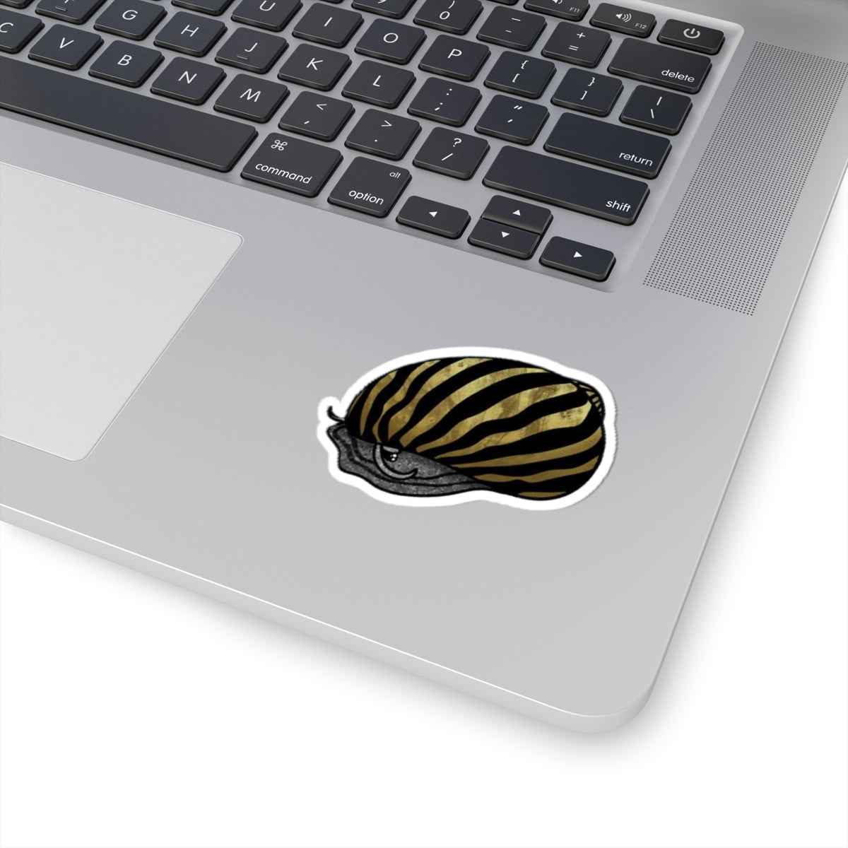Scholarly Exotics Zebra Nerite Snail Sticker