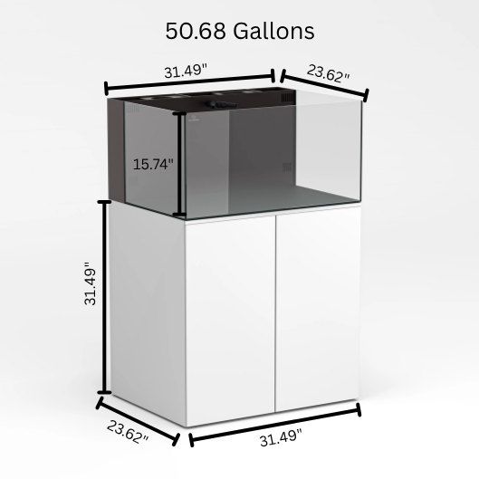 Reef Ready 50-Gallon AIO System