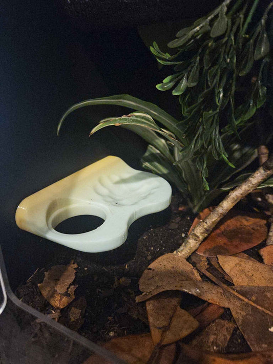 One Slot w/ Water Puddle Gecko Feeding Ledge