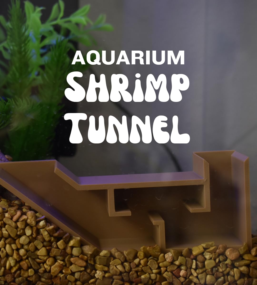 Aquarium Underground Tunnel Corner