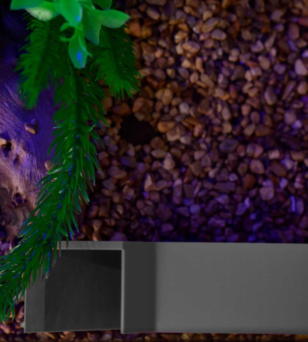 Aquarium Underground Tunnel Corner