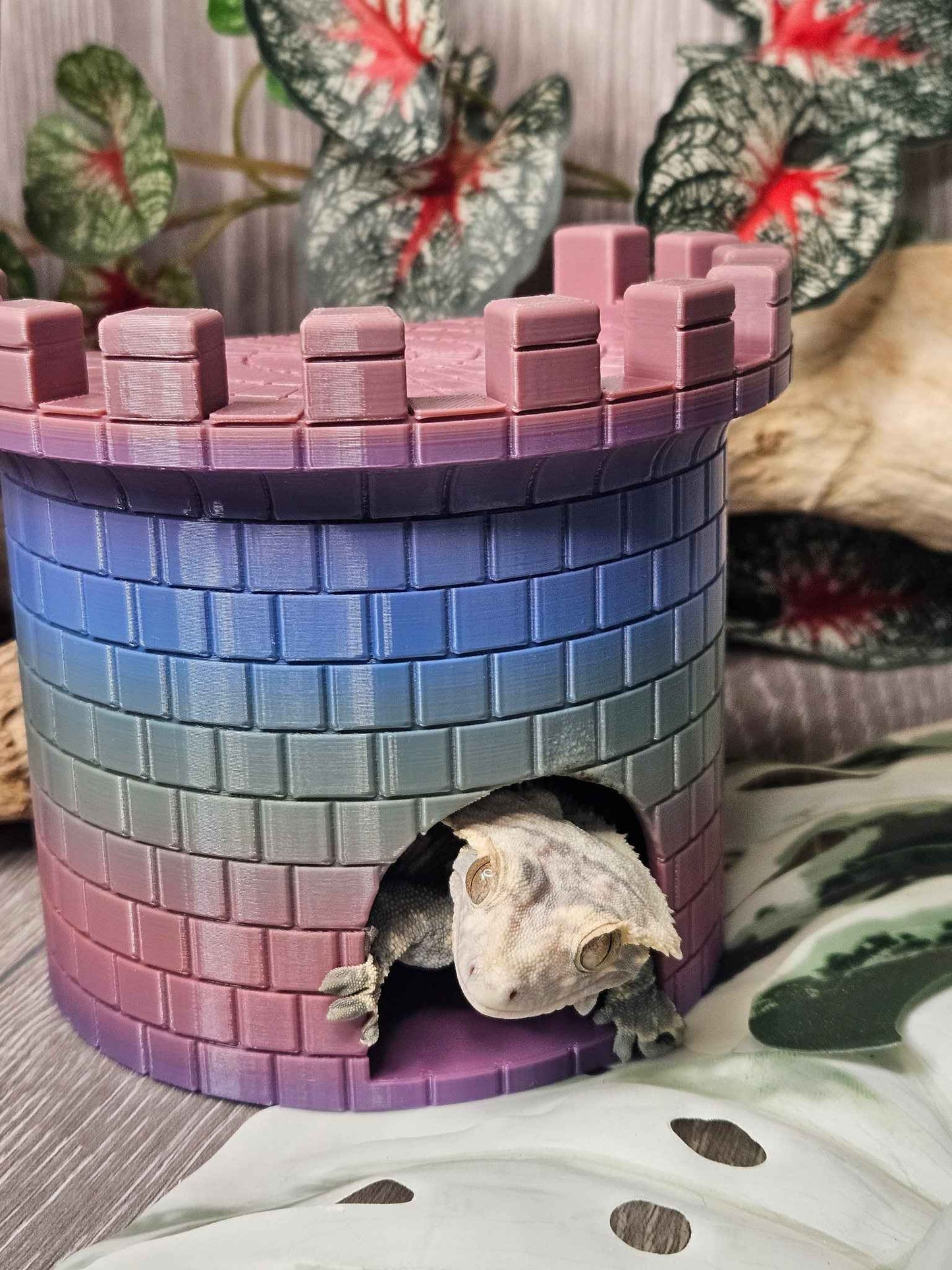 Castle Hide