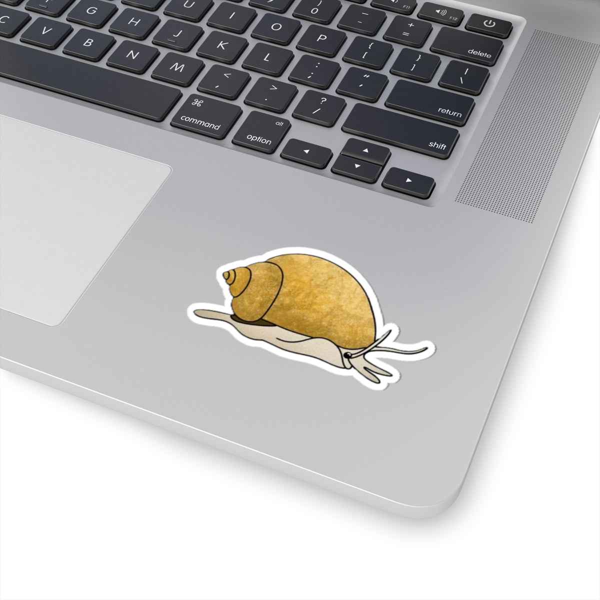 Scholarly Exotics Mystery Snail Sticker