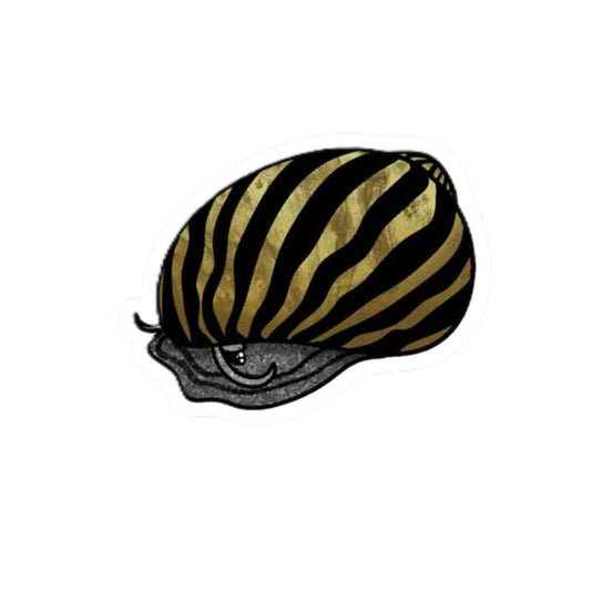 Scholarly Exotics Zebra Nerite Snail Sticker