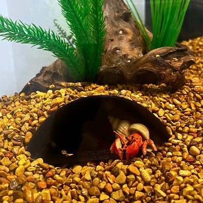 REEFSHAPE Aquarium or Terrarium Pocket Cave