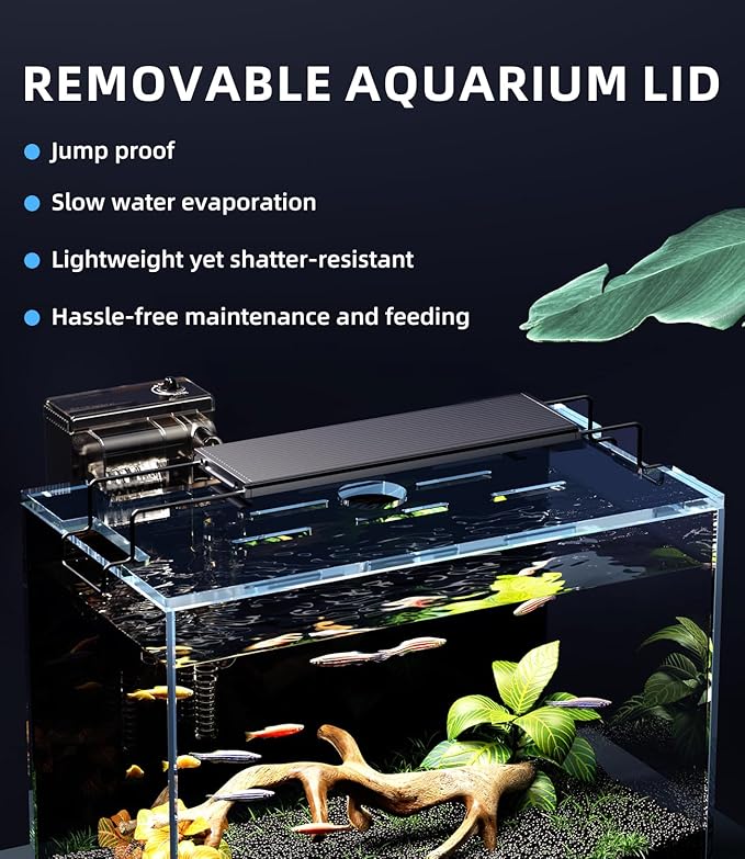 5 Gallon Fish Tank Complete Aquarium Kit