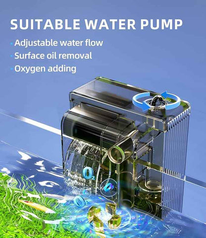 5 Gallon Fish Tank Aquarium Kit with Filter, LED Light with Timer, Siphon Vacuum Cleaner, Lid, Self-Cleaning Glass Rimless Betta Tank