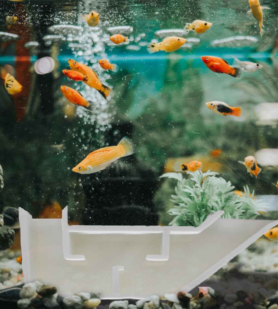 Chatelet Aquarium Underground Tunnel | Fish & Shrimp Hideout for Aquariums | Unique Underground Viewing Tunnel | Made in USA