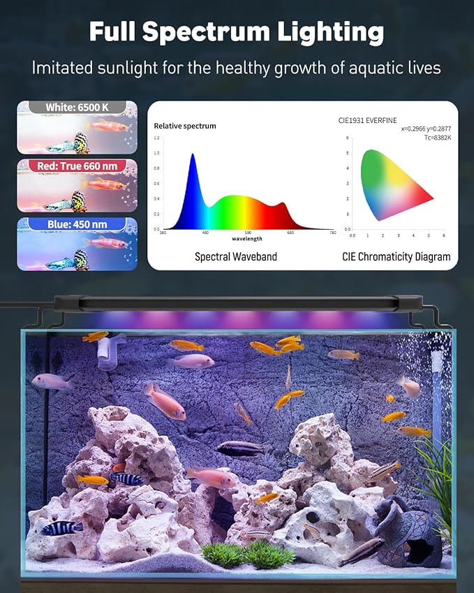 Pawfly 5 Gallon Complete Aquarium Kit