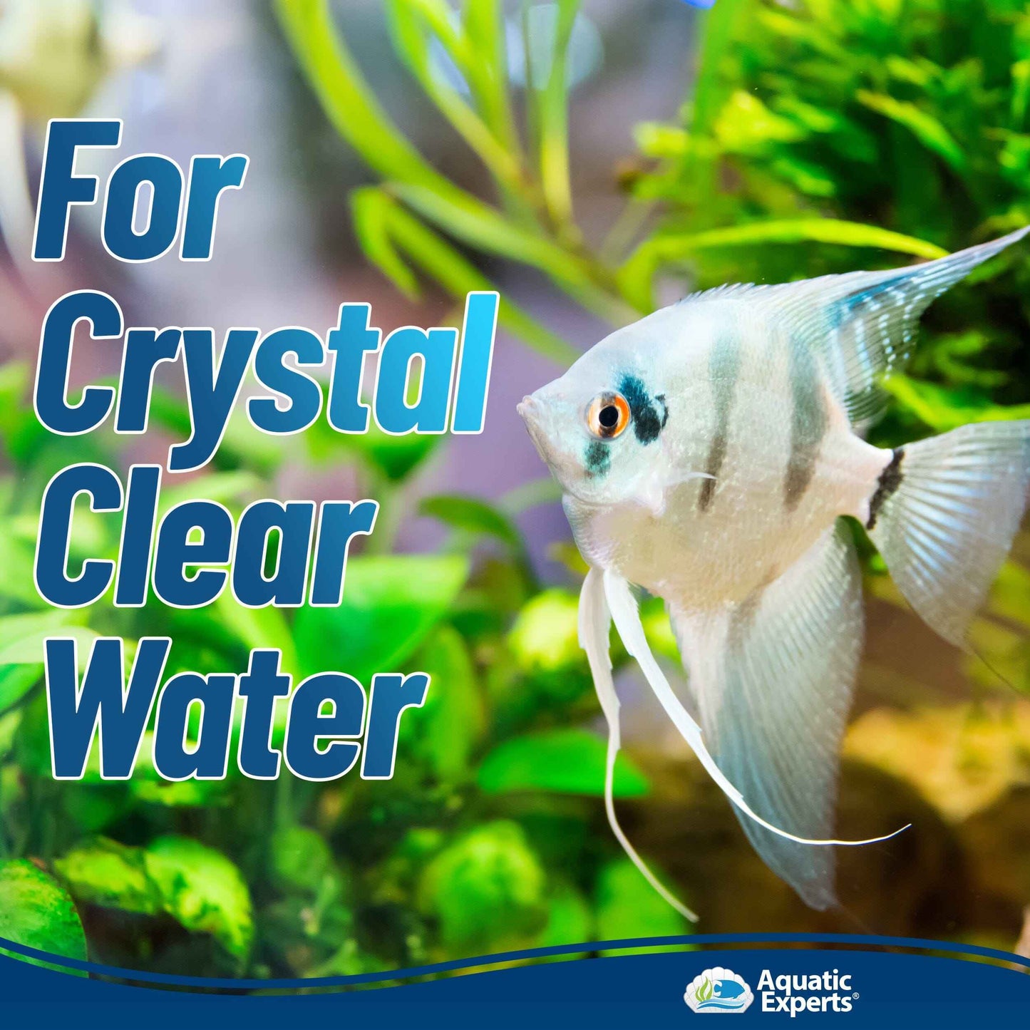 Aquarium Clarity Pro Bundle – Cloudy Water & Debris Removal with Filter Pads