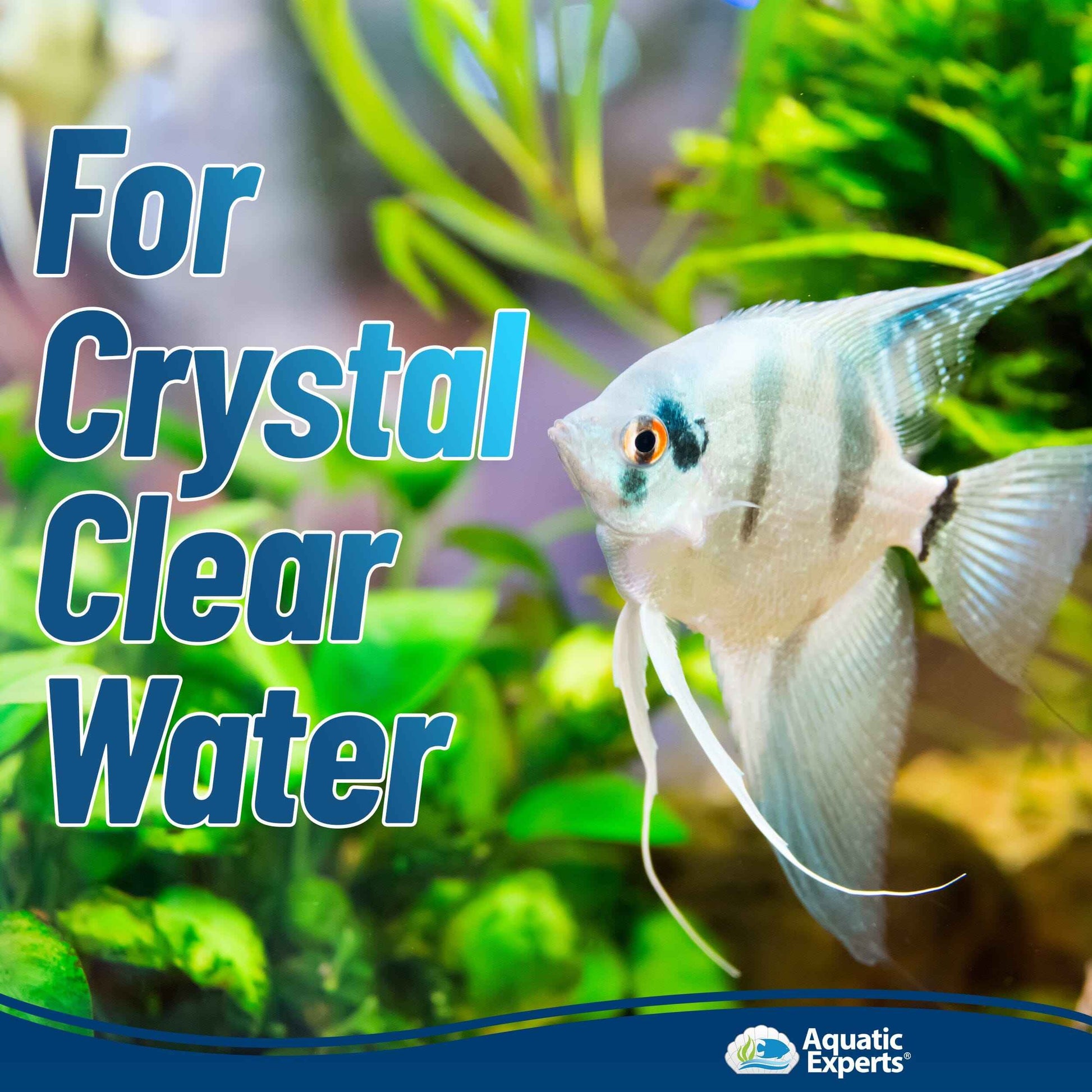 Aquarium Clarity Pro Bundle – Cloudy Water & Debris Removal with Filter Pads