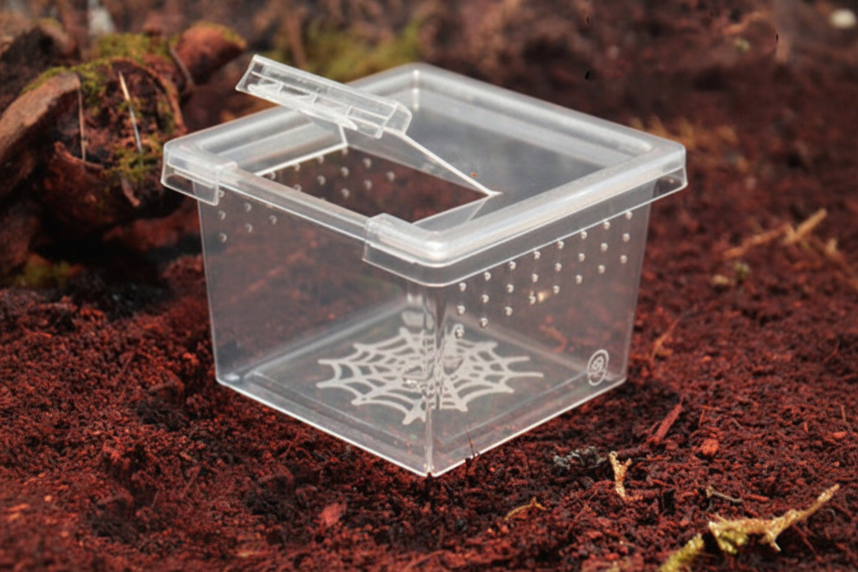 Clear Micro Hatchling & Invertebrate Enclosures with Easy-Feed Ports