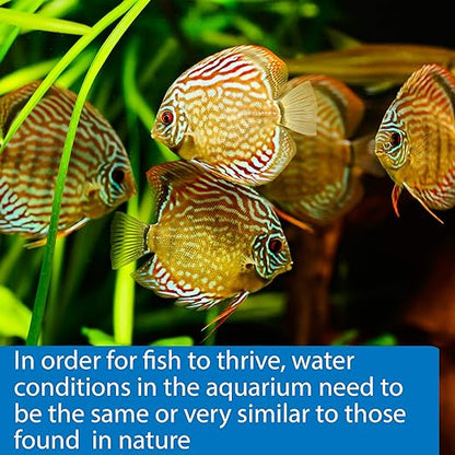 API Freshwater & Saltwater Aquarium Test Strips | 100 Pack