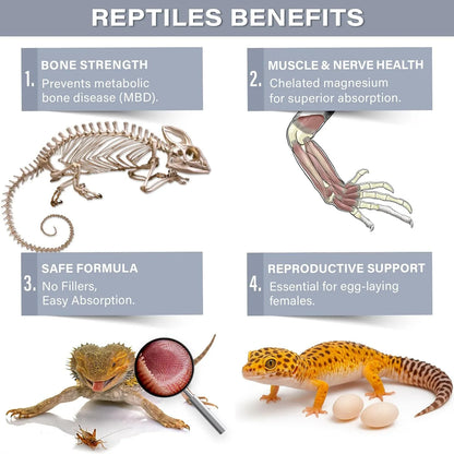 Gargeer Magnesium+ with Calcium Reptile Supplement