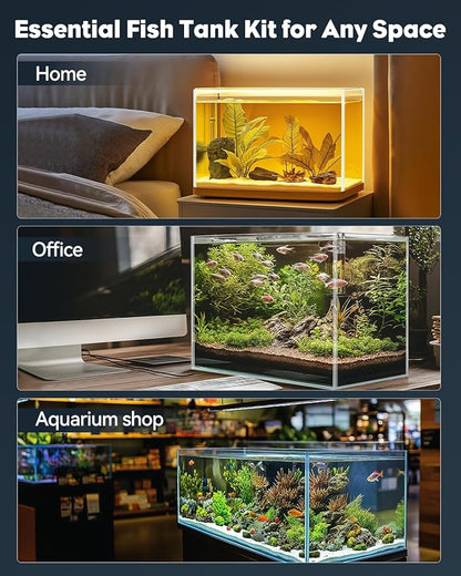 Pawfly 5 Gallon Complete Aquarium Kit