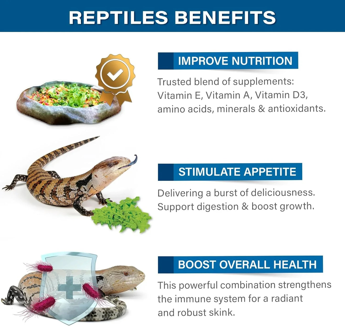 Gargeer Blue Tongue Skink Salad Topper