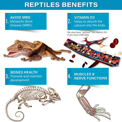 Gargeer All Reptiles Calcium Powder (Without D3)
