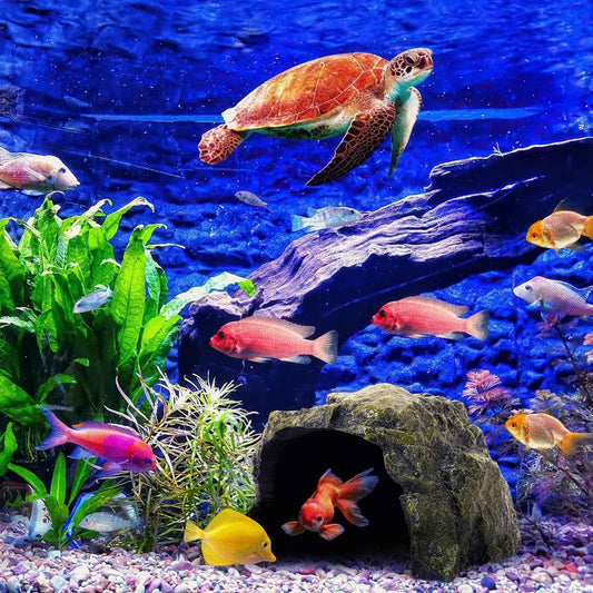 Reptile Rock Hide Cave Natural Resin Habitat for Lizards Turtles Fish
