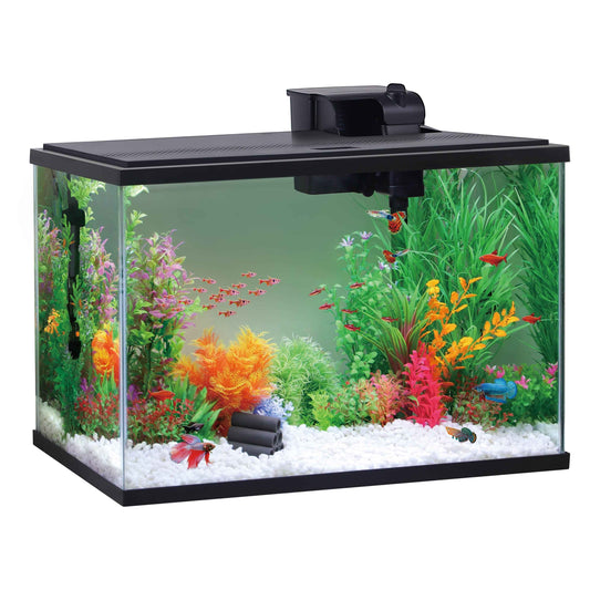 29 Gallon Aquarium Starter Kit, Black