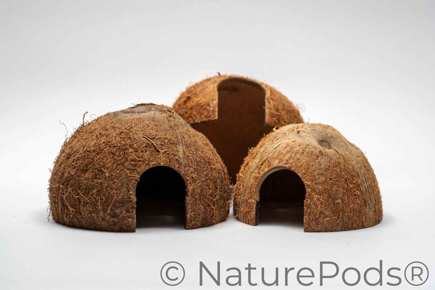 Coconut Caves
