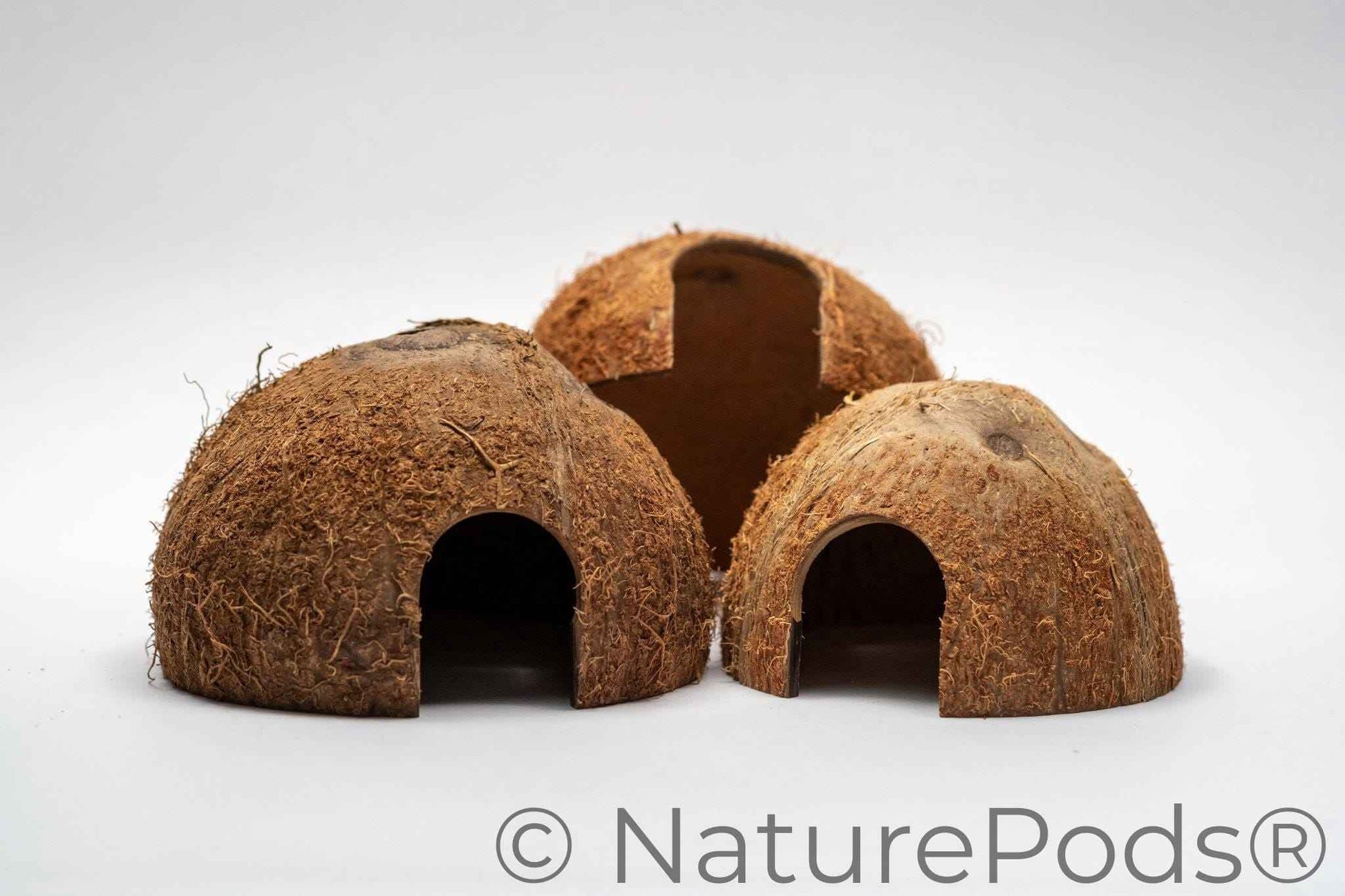 Coconut Caves