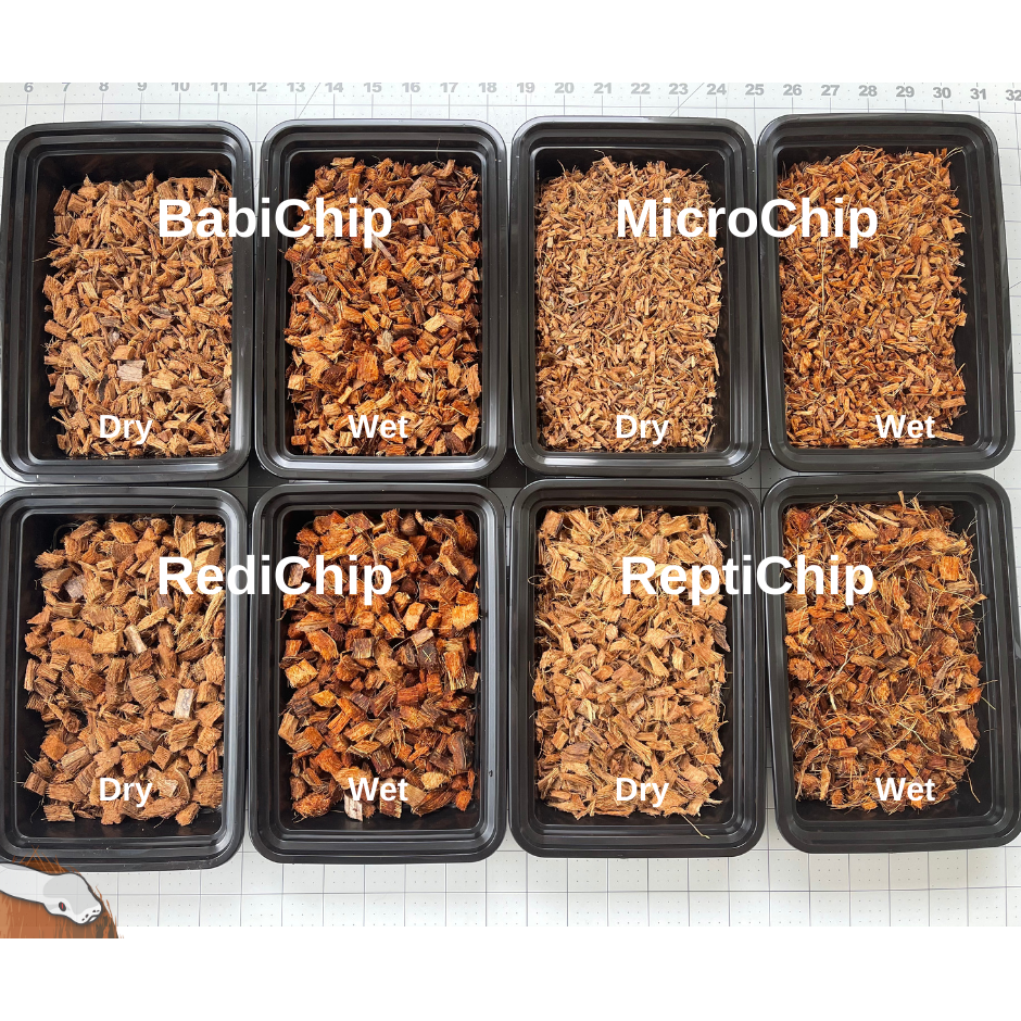 RediChip Premium Medium Sized Coconut Chips; Ready to Use