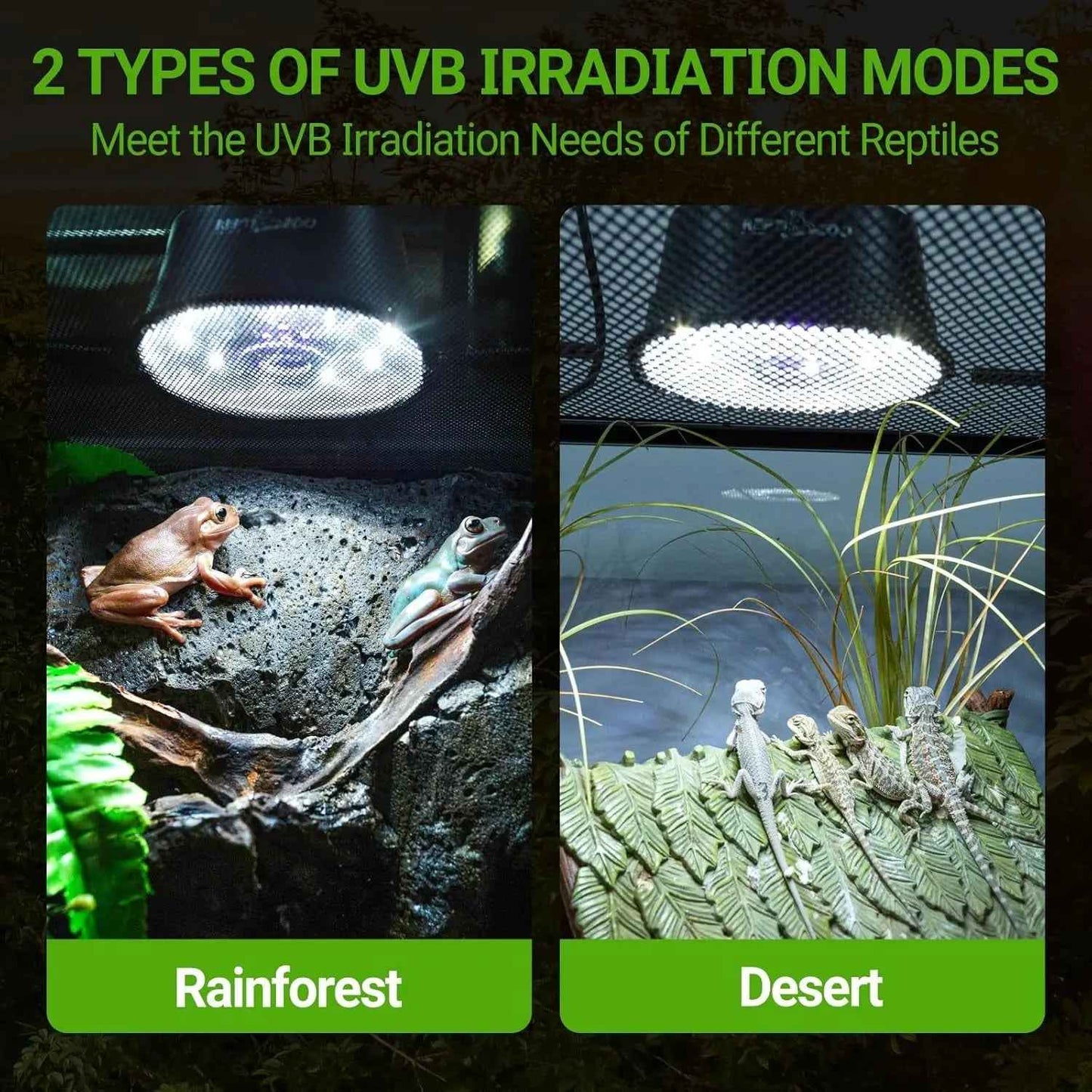 Dimmable UVB Reptile Light LED UVA UVB Lamp Tropical Desert Fixture