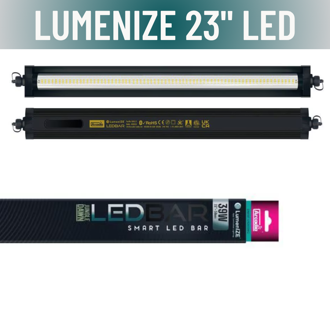 LumenIZE Jungle Dawn LED Bar - Scholarly Exotics LLC