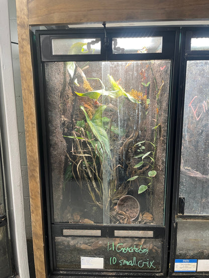 Aqueon Aquarium Conversion Kit