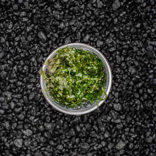 Subwassertang