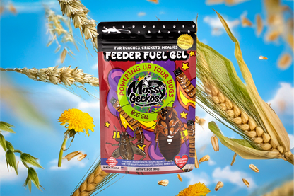 Feeder Fuel Gel | Insect Gutload