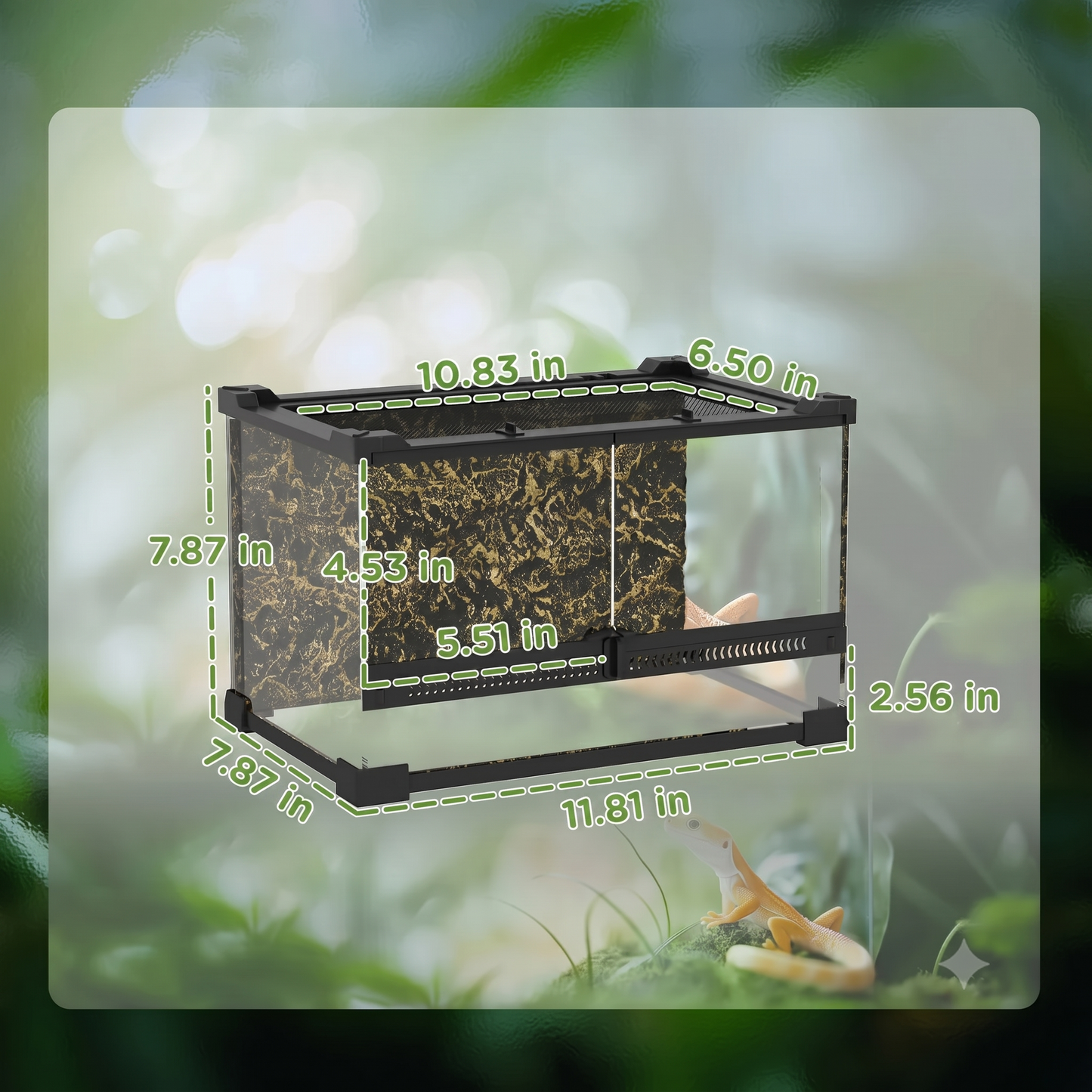 2.5 Gallon Glass Terrarium – 360° Clear-View
