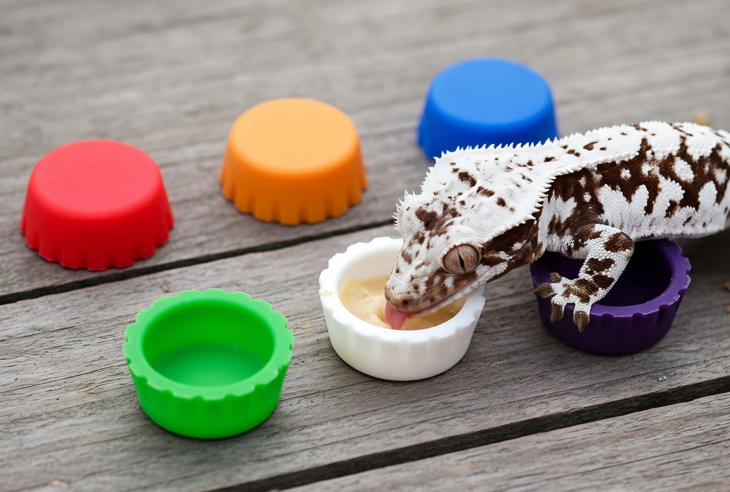 Reusable Silicone Gecko Feeding Caps (Multi-Color Pack)