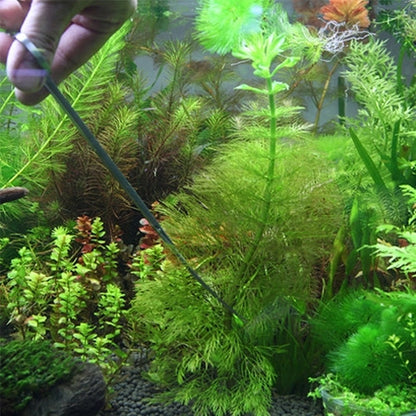 3 in 1 Stainless Steel Aquascaping Tool Set