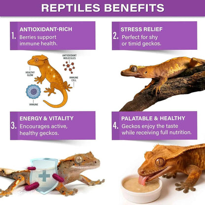 Gargeer 'Picky Geck' Wildberry Burst - Premium Crested Gecko Food | Antioxidant & Immune Support Formula