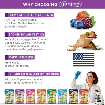Gargeer 'Picky Geck' Wildberry Burst - Premium Crested Gecko Food | Antioxidant & Immune Support Formula