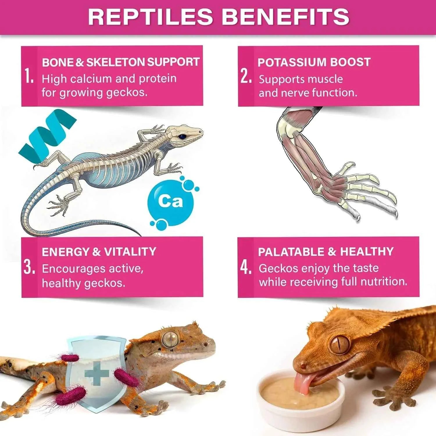 Gargeer 'Picky Geck' Growth - Premium Crested Gecko Food | High-Protein Formula for Bone & Muscle Support