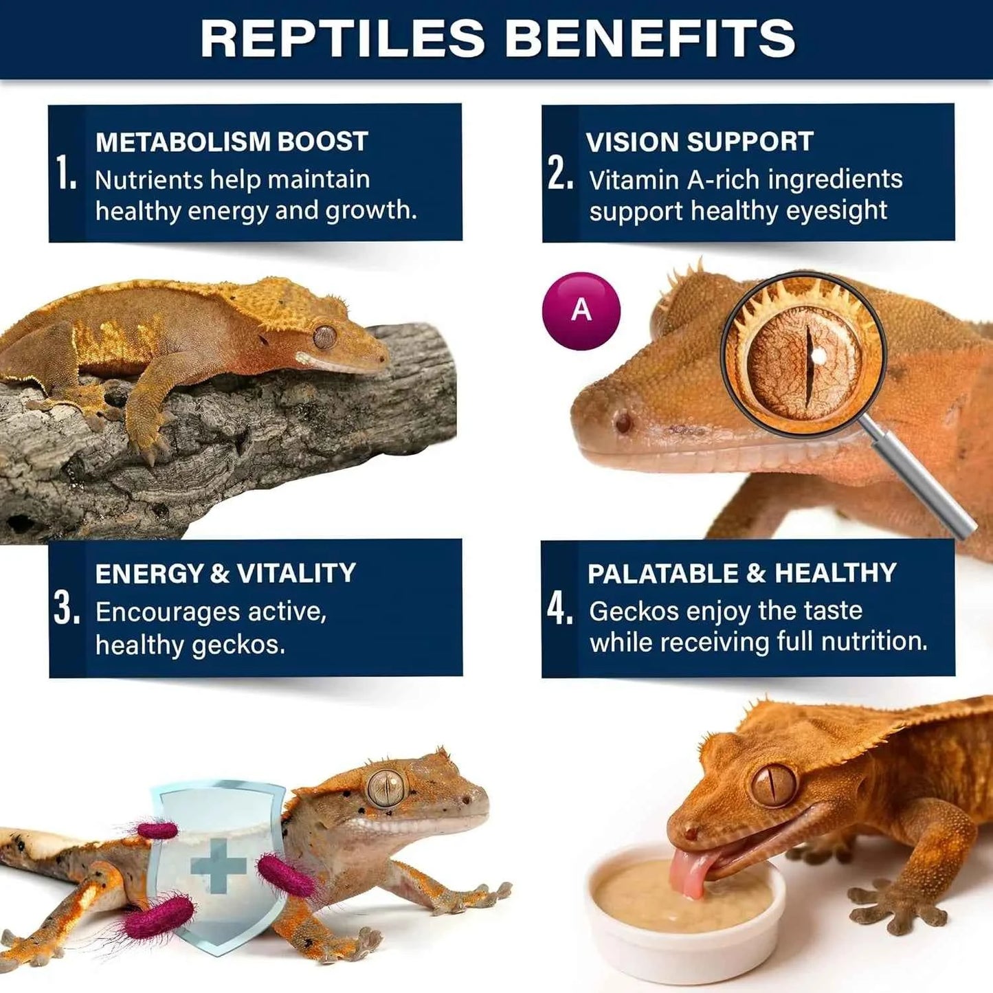 Gargeer 'Picky Geck' Moonlight Feast - Premium Crested Gecko Food | Vision & Metabolism Support