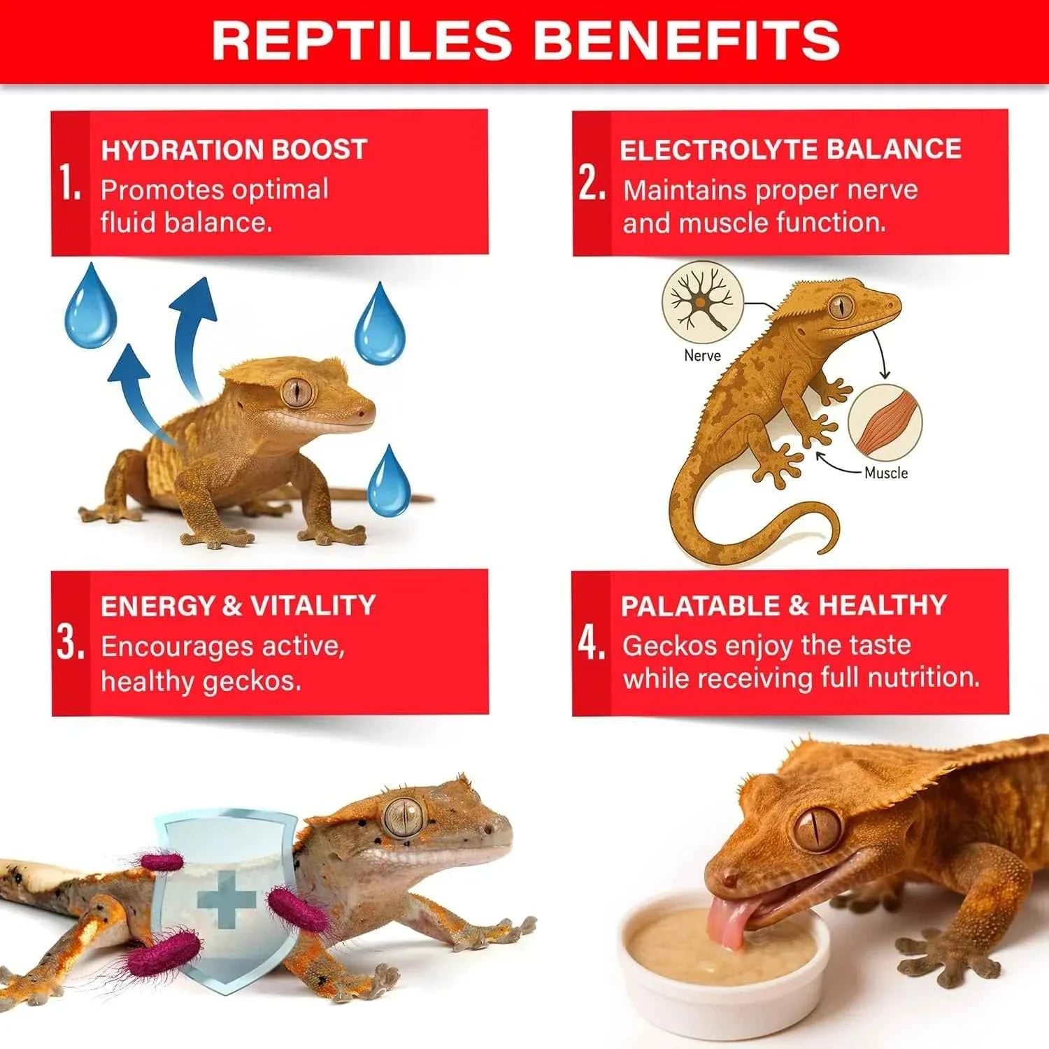 Gargeer 'Picky Geck' Watermelon Crush - Premium Crested Gecko Food | Hydration & Circulation Support